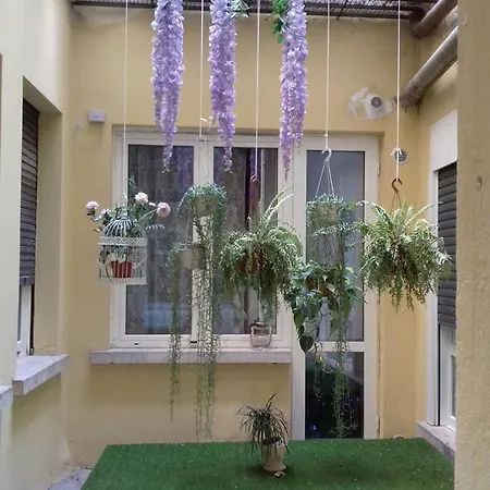 Arcadia Apartment
